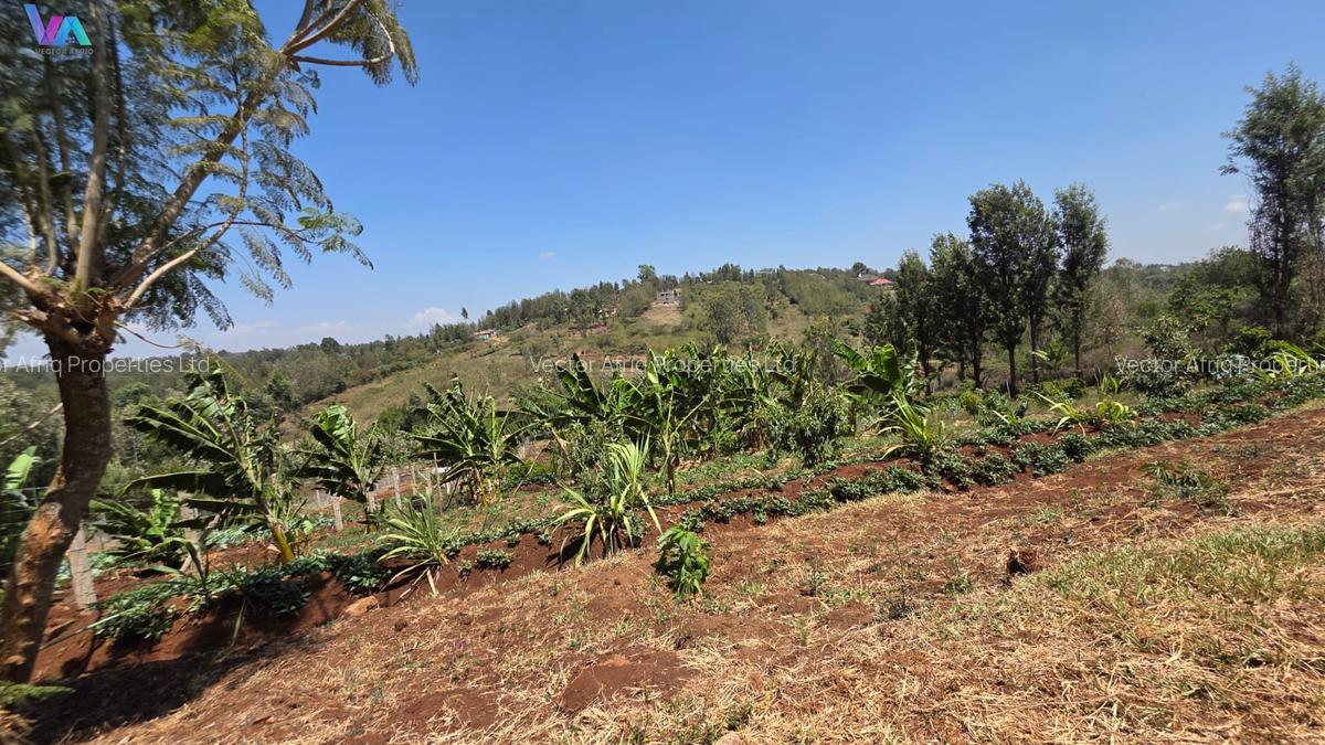 Land in Ngong - 3