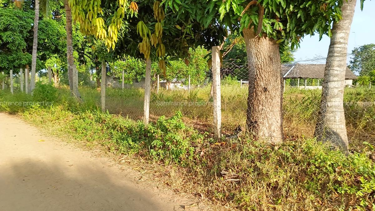 15 ac Land at Bomani - 8