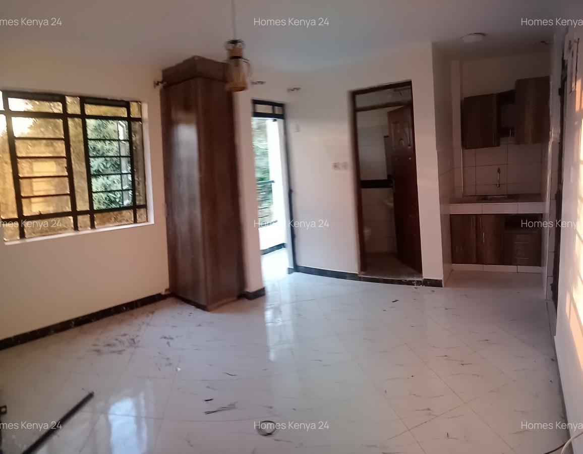 Studio Apartment in Ruaka - 1