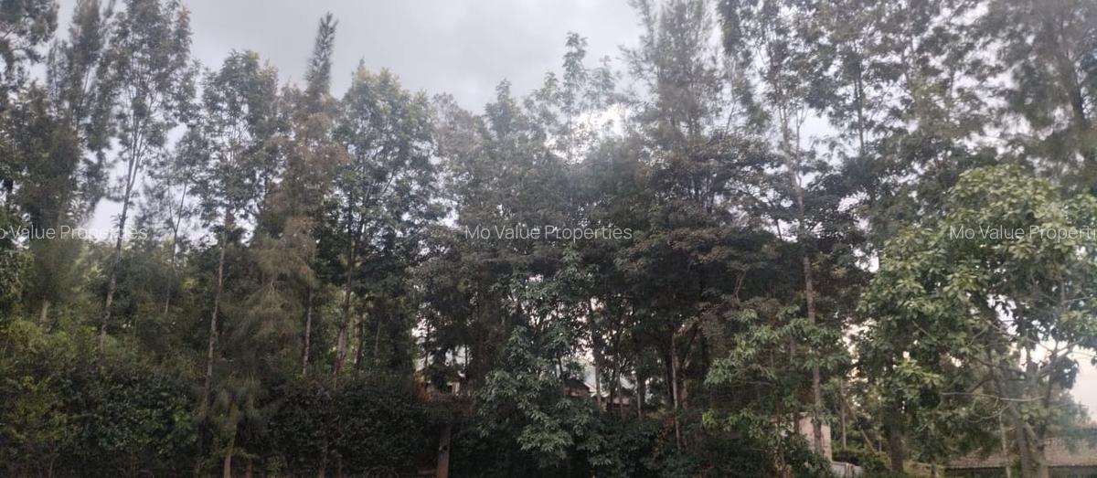 0.5 ac Land at Ololua - 2