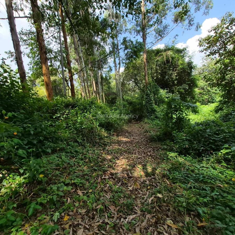 Commercial Land in Kitisuru - 5