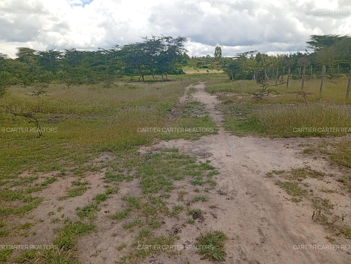 0.125 ac Land at Kyumvi Junction - 10