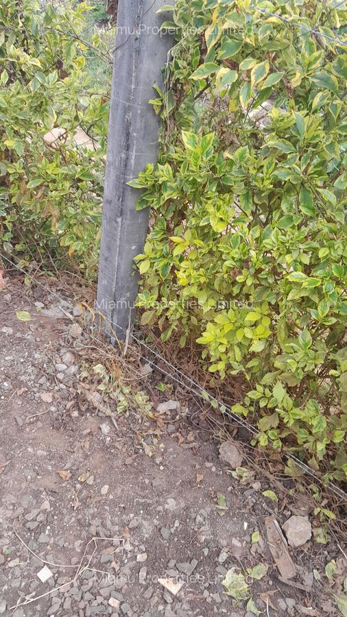 0.125 ac Land at Mucatha Primary School - 2