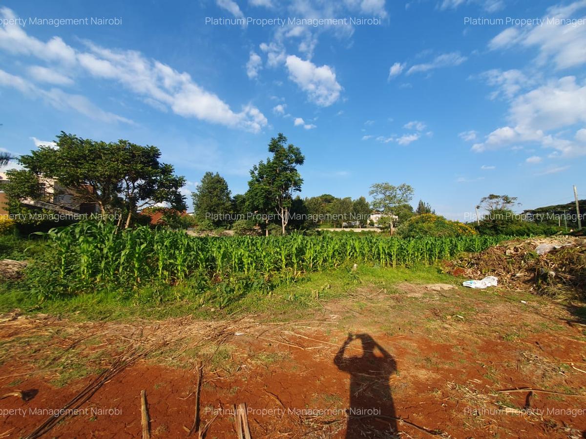 1.25 ac Land in Nyari - 7