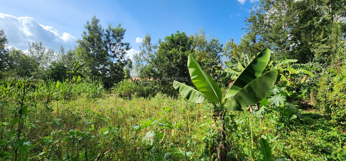 0.202 ha Residential Land at Rimpa - 12