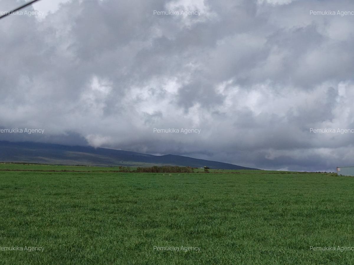 314 ac Land at Timau - 11