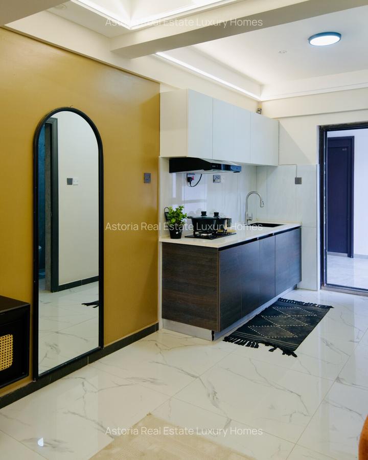 Studio Apartment with En Suite at 2026-423 0 Studio - 4