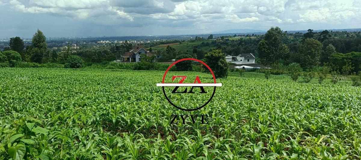 0.125 ac Land at Kanunga Kiambu Road - 5