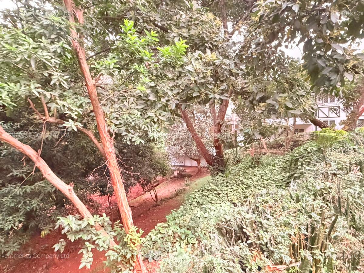 1 ac Land in Spring Valley - 1