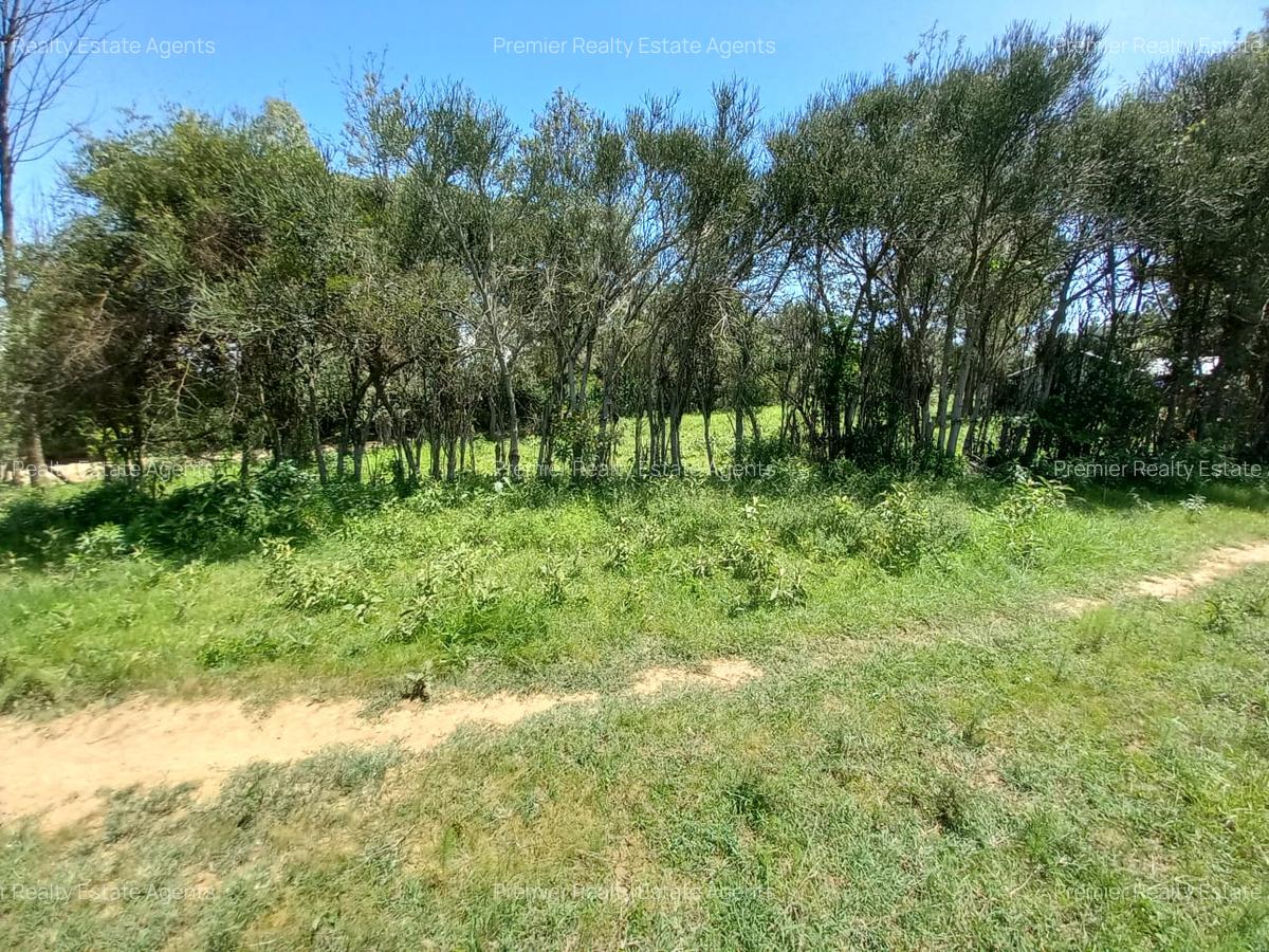 5 ac Residential Land at Nanyuki - 10
