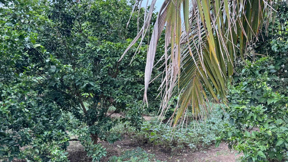 8,093.72 m² Land at Mtwapa - Mtepeni - 9