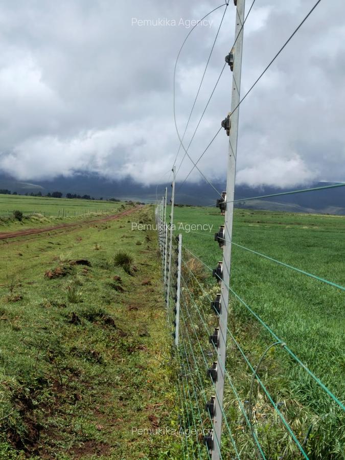 314 ac Land at Timau - 1