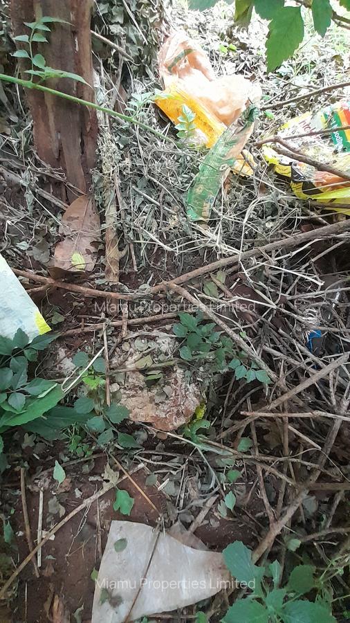 0.125 ac Land at Mucatha Primary School - 3