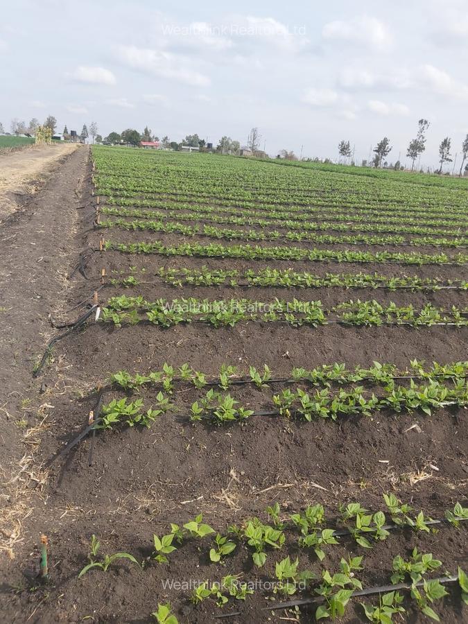 Land at Kisaju - 11