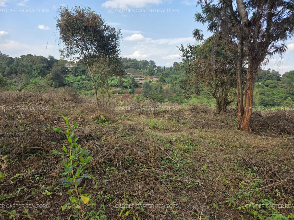 Land in Karen - 4