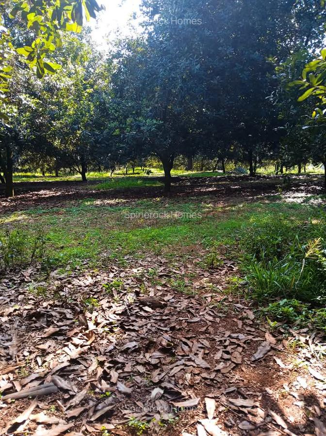 0.125 ac Residential Land at Juja Gatundu Road - 11
