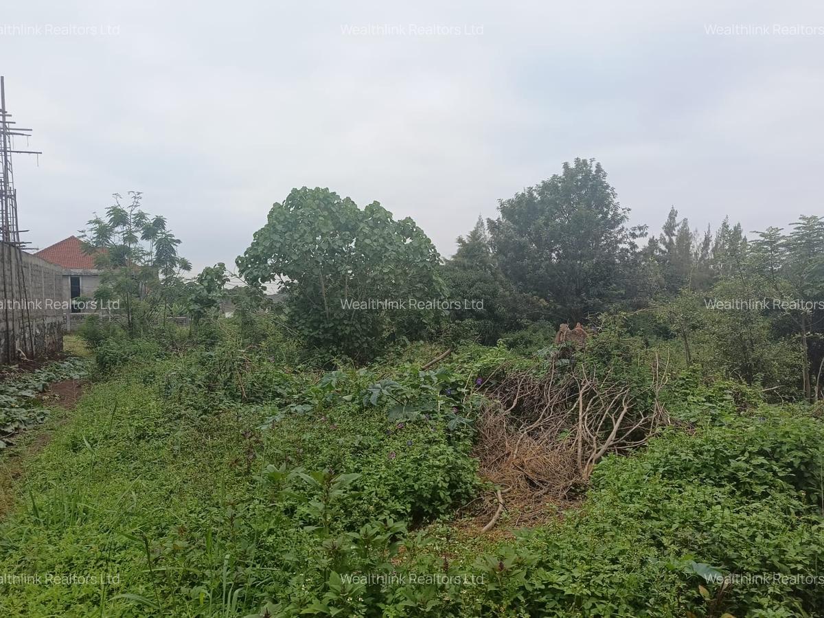 Residential Land at Kamiti Ridge - 10