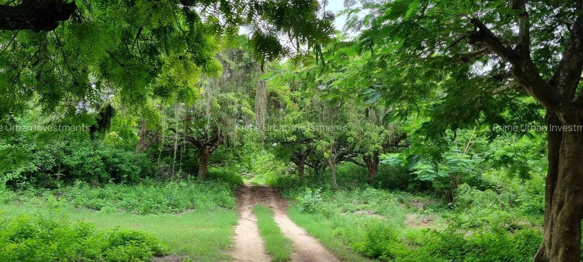 Land at Kuruwitu Beach Vipingo - 15