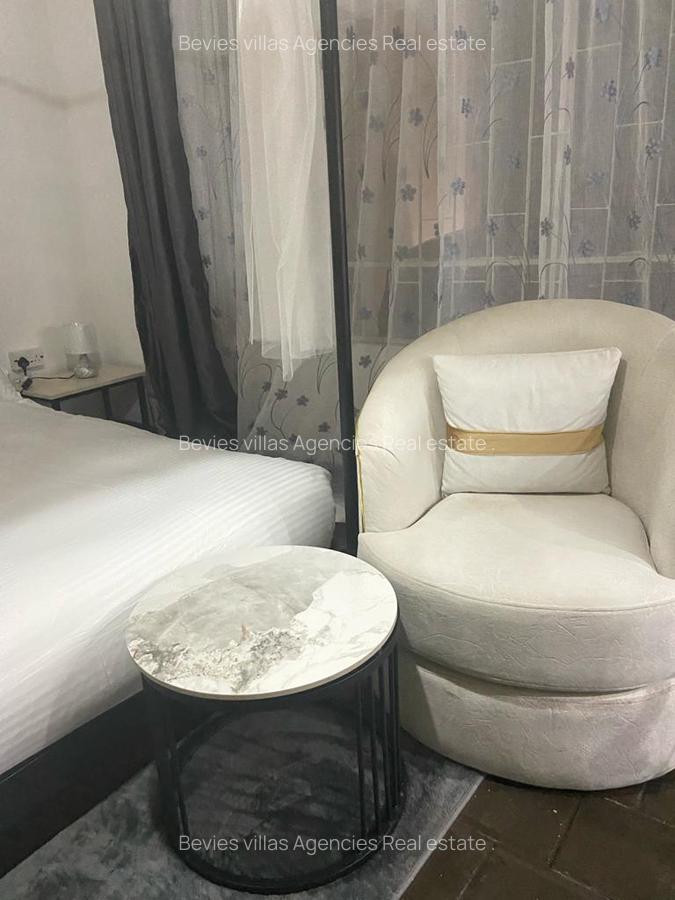 Furnished 1 Bed Apartment with Borehole at Raphta Road - 8