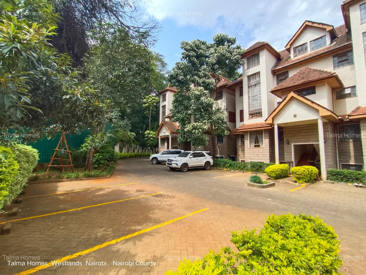2 Bed Apartment with En Suite at Off Waiyaki Way - 20
