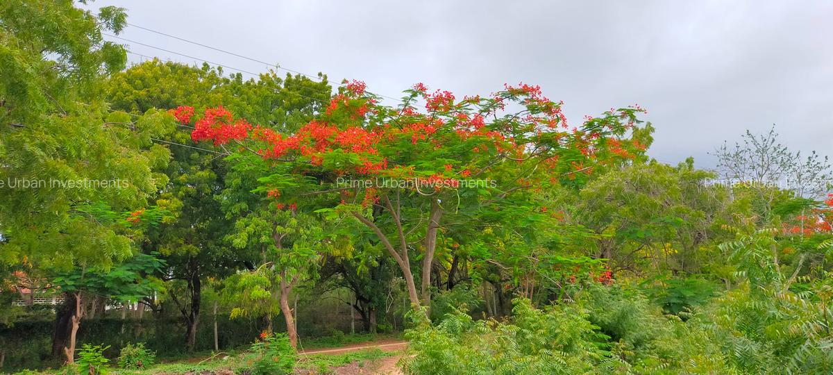 40 ac Land at Vipingo Kuruwitu - 1