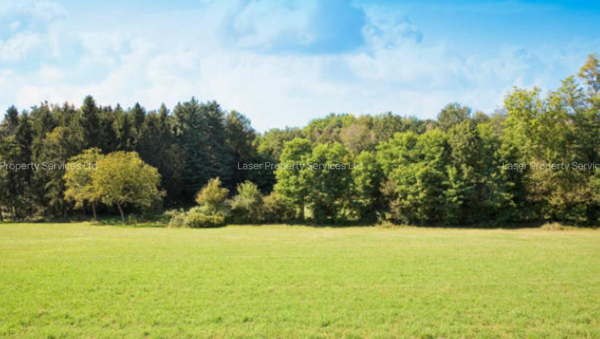 Commercial Property with Backup Generator in Spring Valley - 1