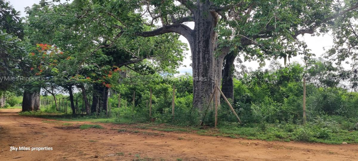 6 ac Land at Kilifi - 2