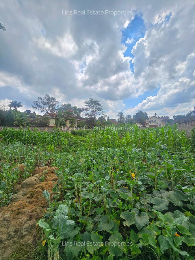 Residential Land in Runda - 4