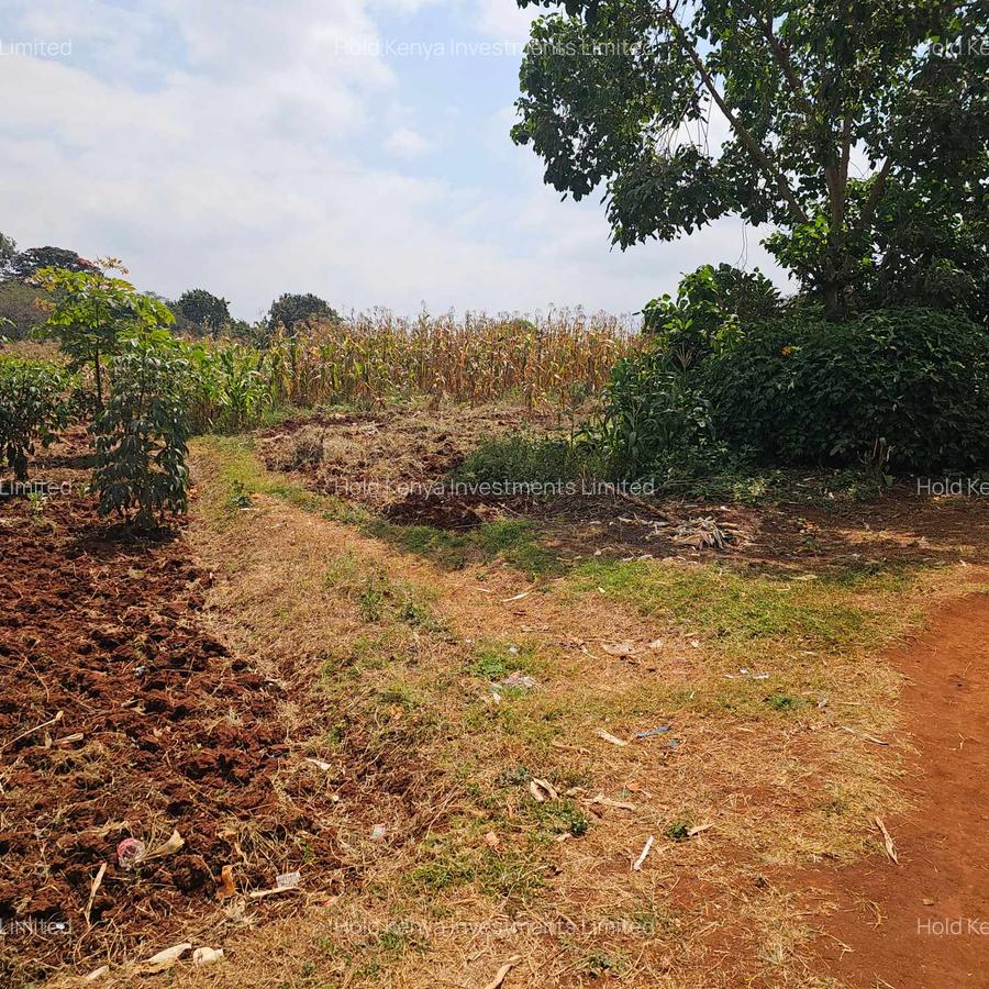 10 ac Land at Kirawa Road - 6