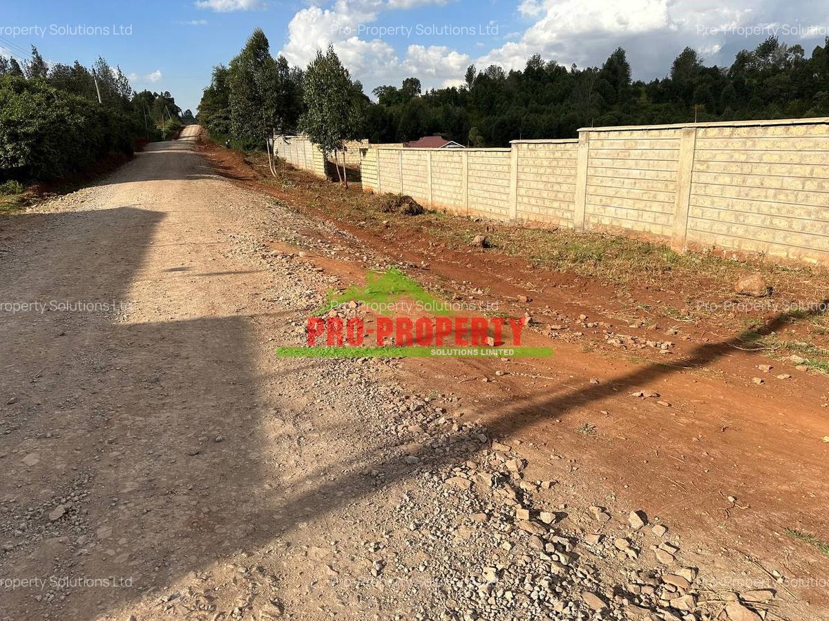 0.46 ha Residential Land at Ondiri - 13