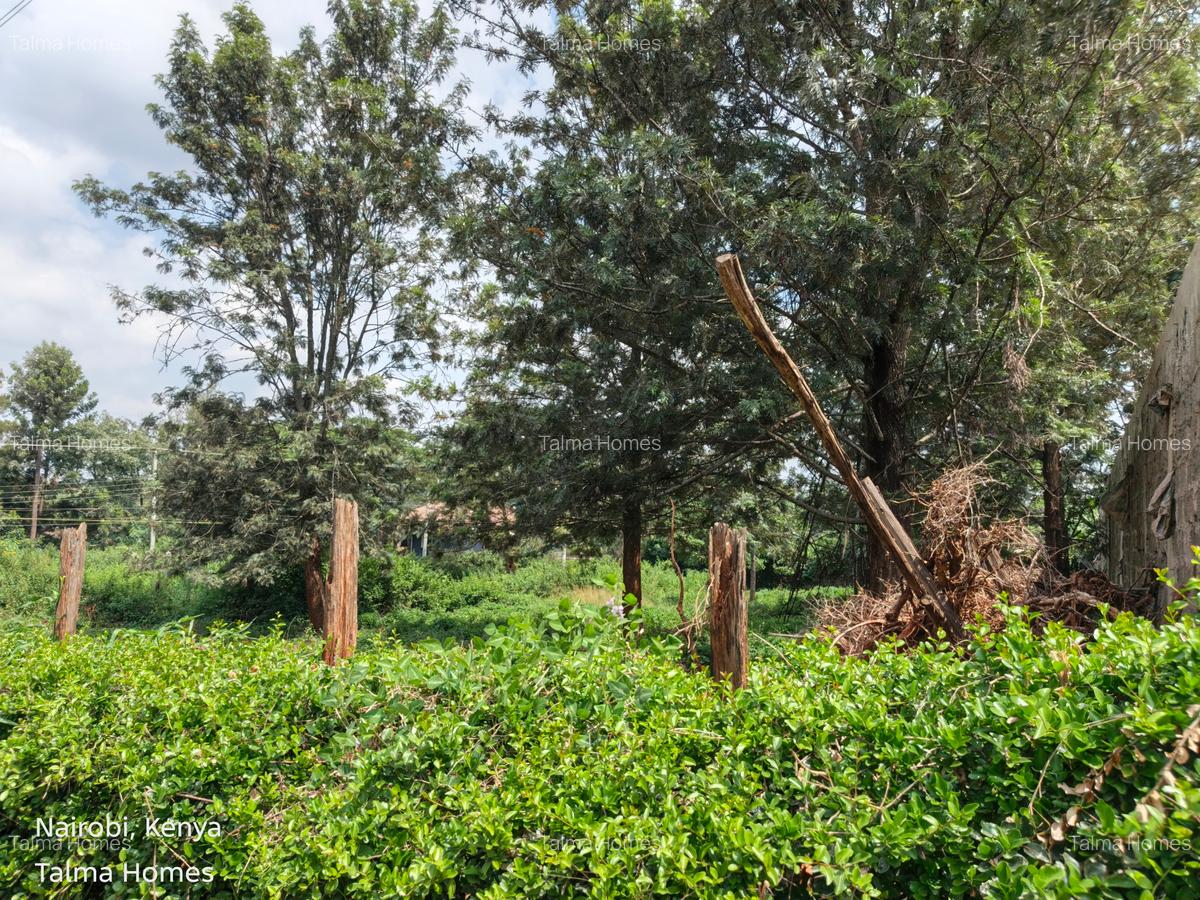 0.5 ac Land at Ridgeways Lane - 1