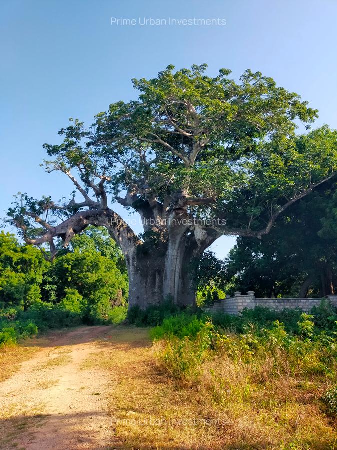 Land in Vipingo - 2