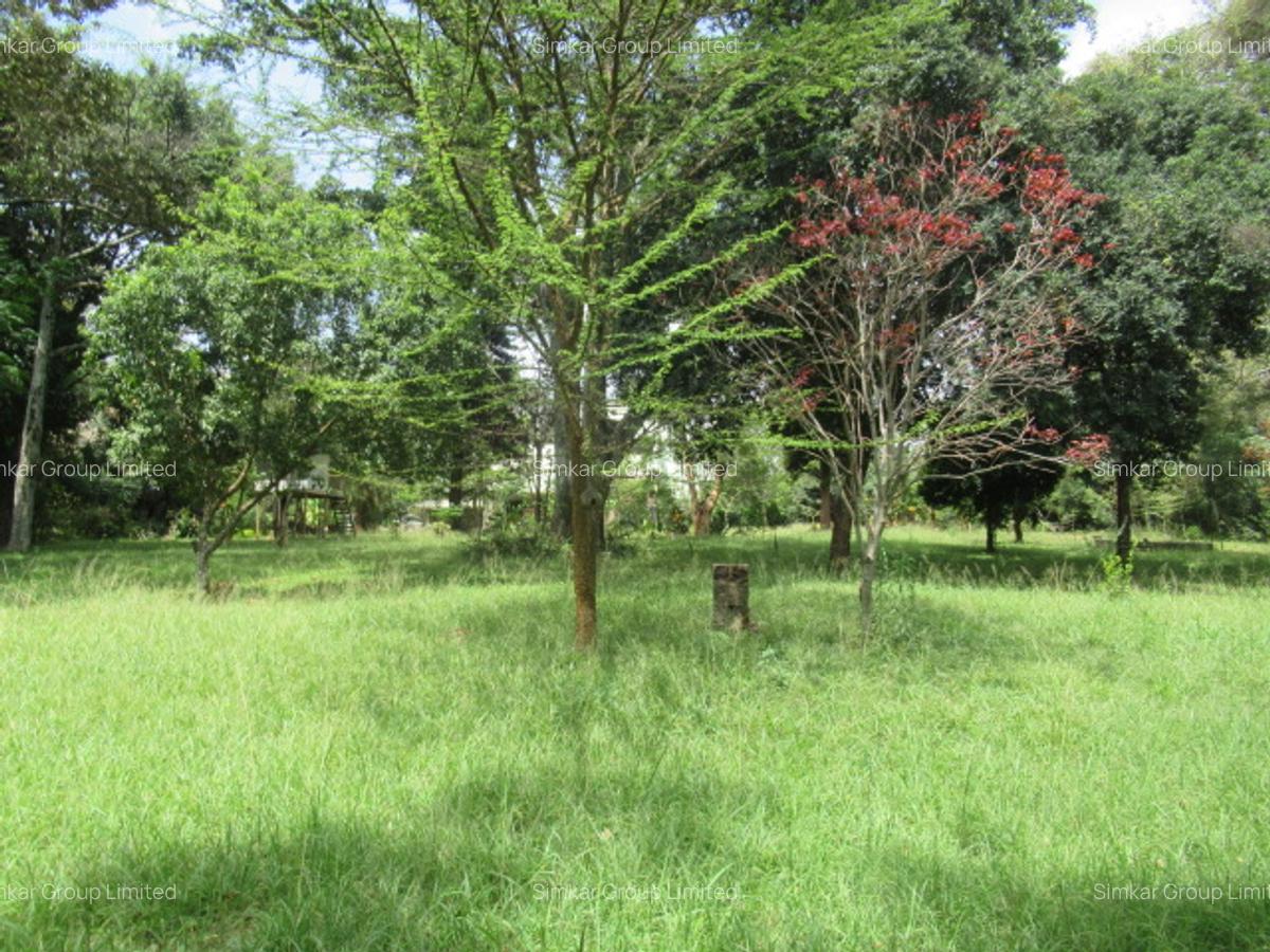 Residential Land at Koitobos Rd - 12