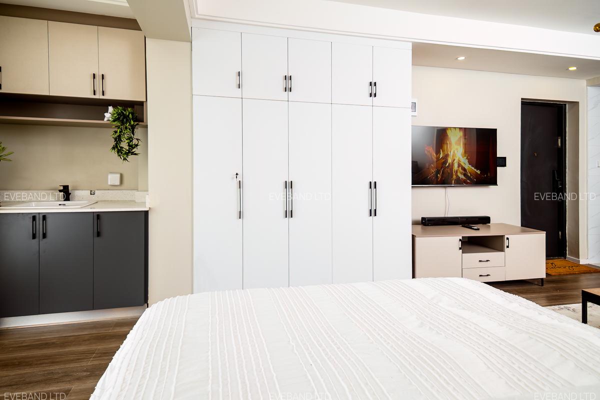 Furnished Studio Apartment with En Suite at Kasuku Lane - 17