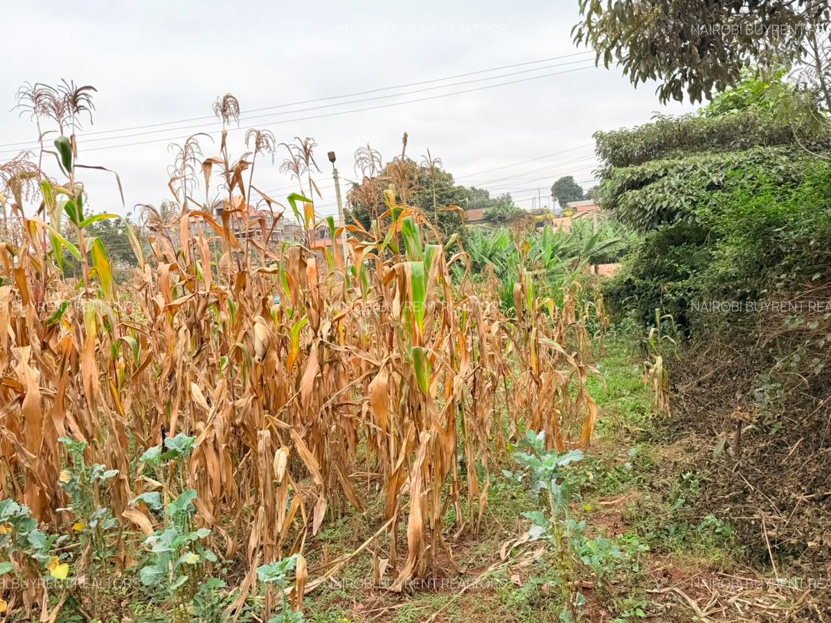 1.2 ac Land in Lower Kabete - 10