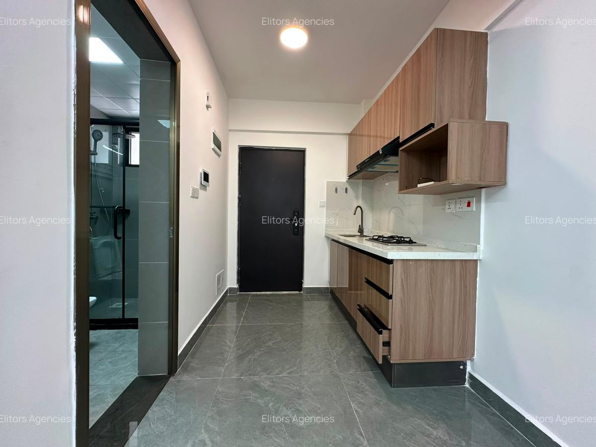 1 Bed Apartment with En Suite at Riverside Drive - 2