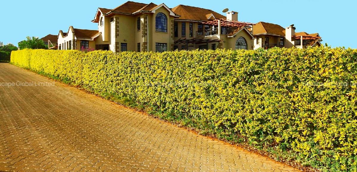 4 Bed Villa with En Suite in Runda - 4