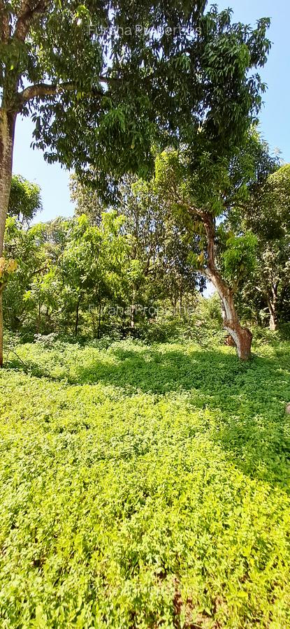 Land at Mtwapa - 6