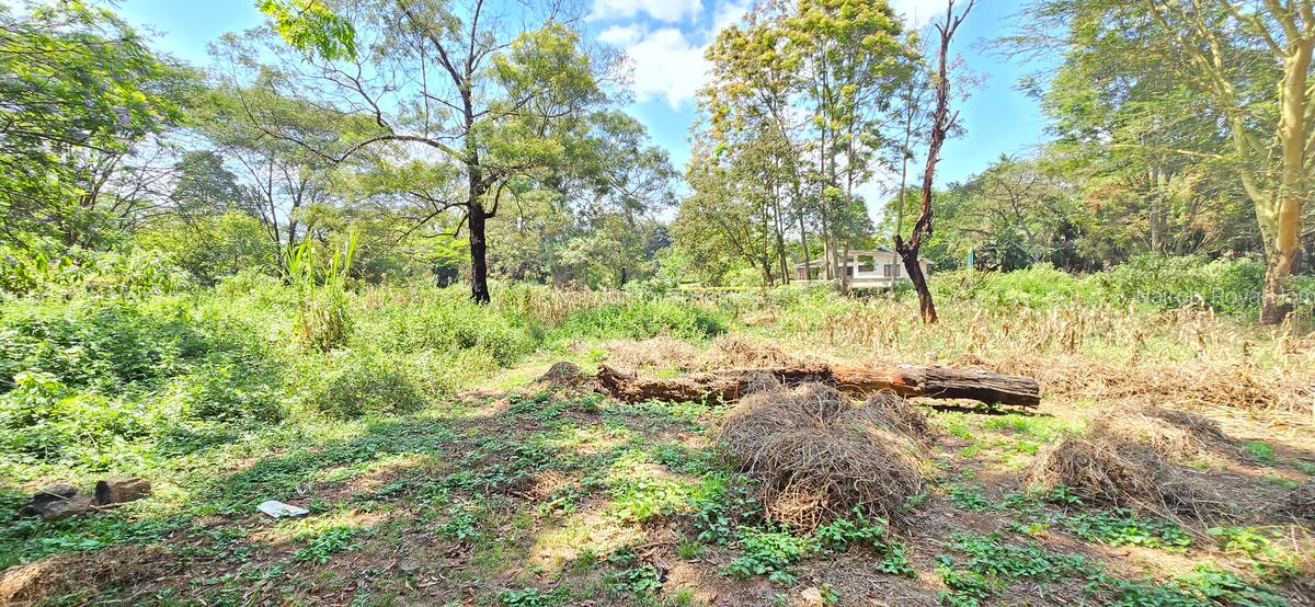 Residential Land at Spring Valley Lower Kabete - 4