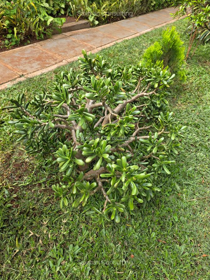 Land in Kileleshwa - 11