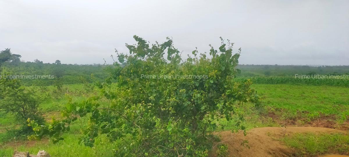 21 ac Land at Mavueni Mariakani Northern By - Pass Road - 13
