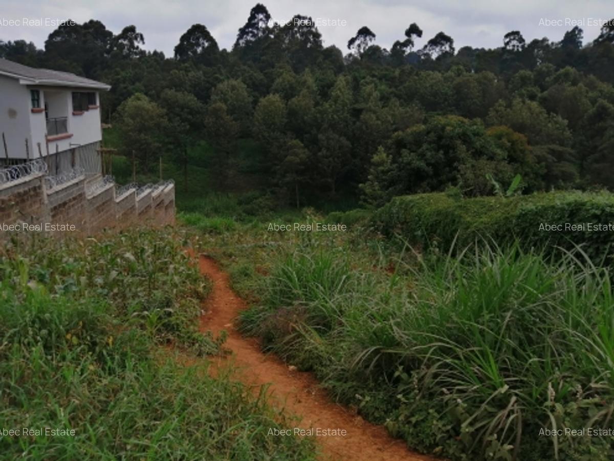 0.3 ac Residential Land at Kikuyu Road - 3