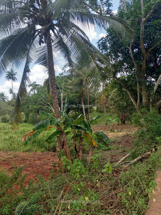 6 ac Land at Msambweni - 2