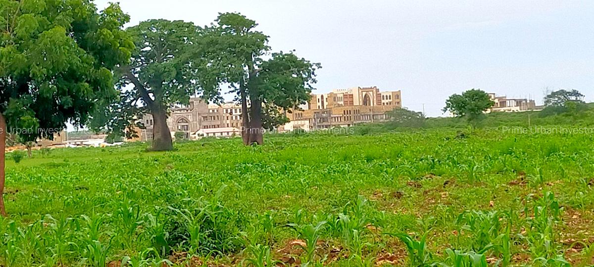 5 ac Land at Utalii -Campus - Vipingo - 9