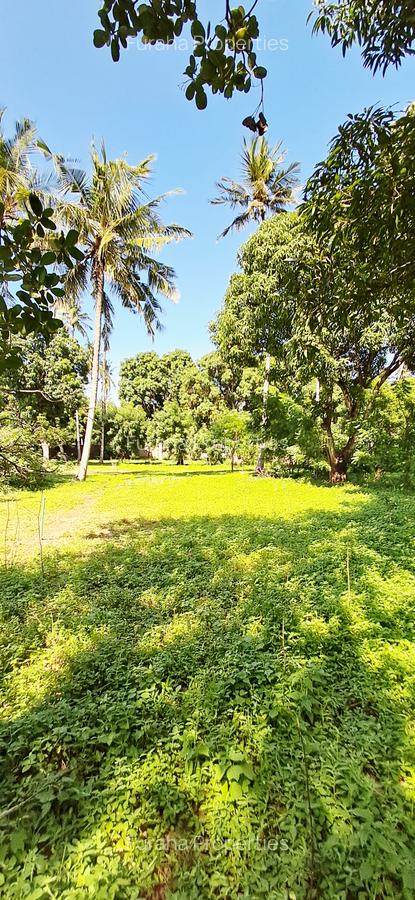 Land at Mtwapa - 16
