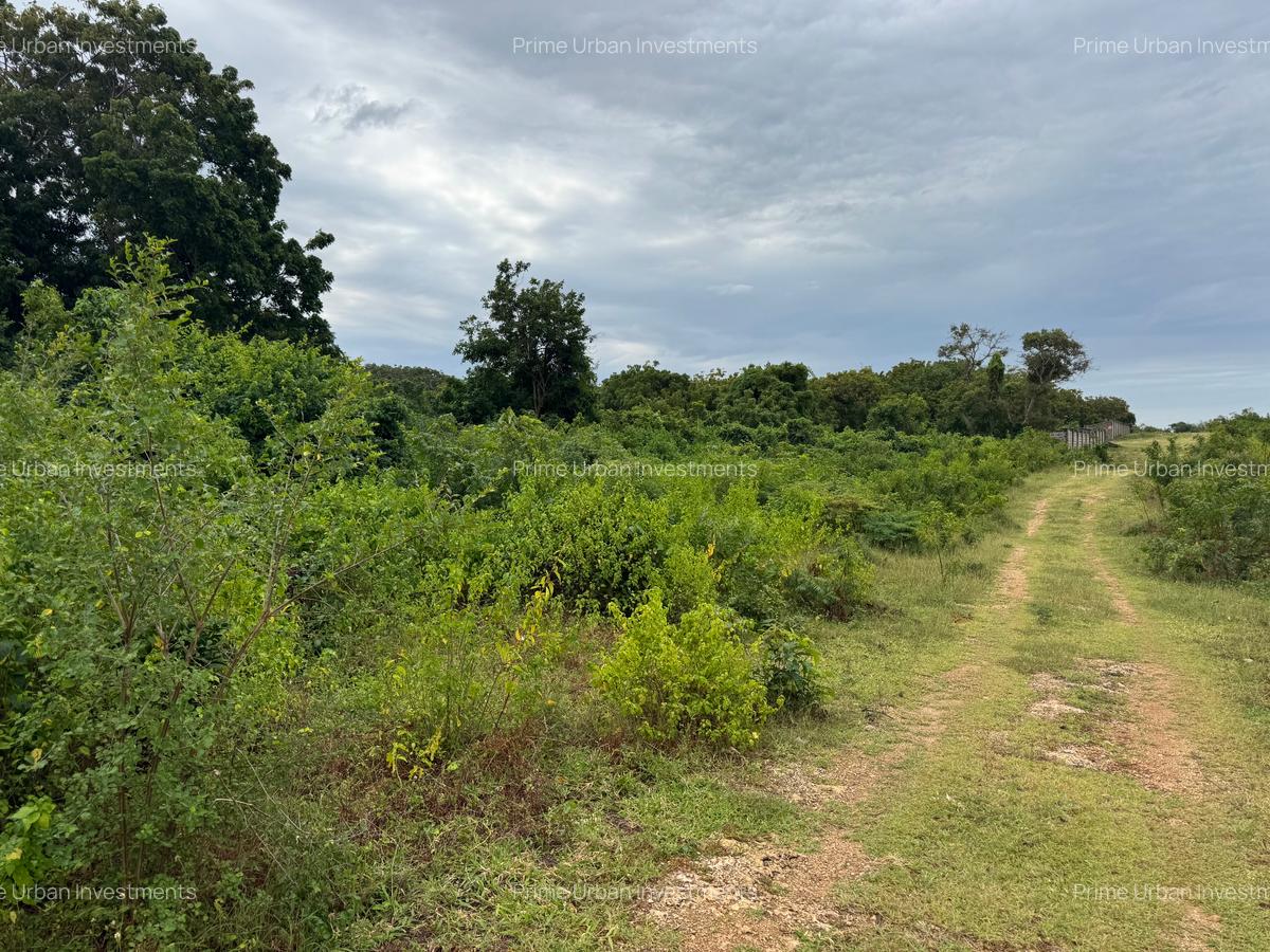 20 ac Land at Kuruwitu Beach Road - 3