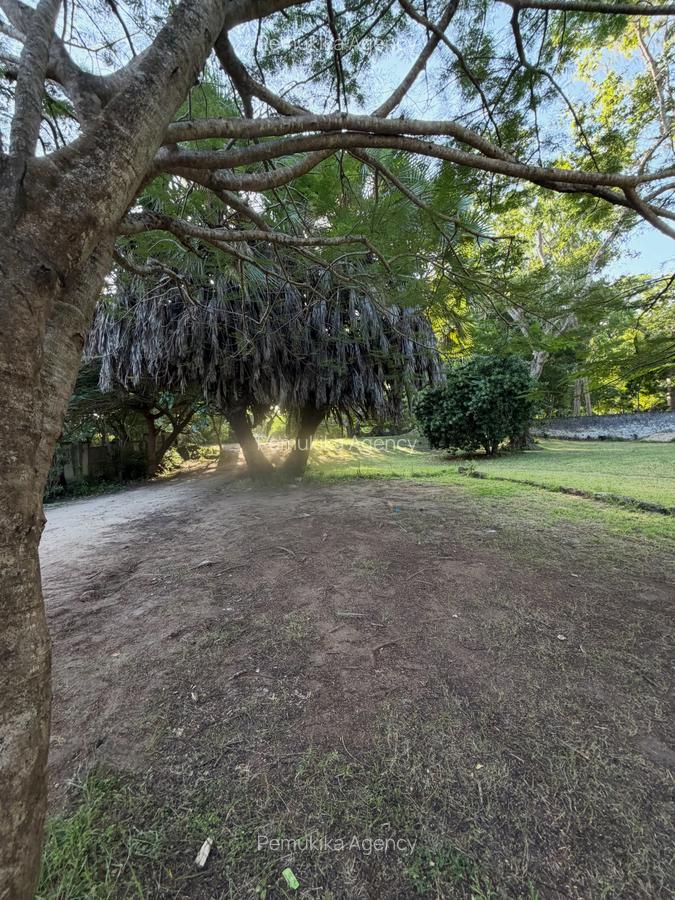 Commercial Land in Diani - 15