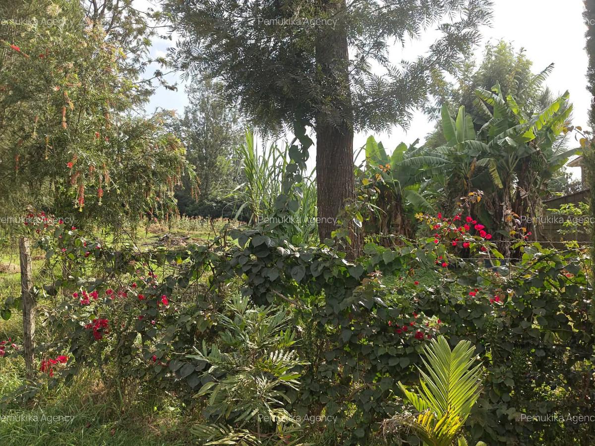 Residential Land in Garden Estate - 7