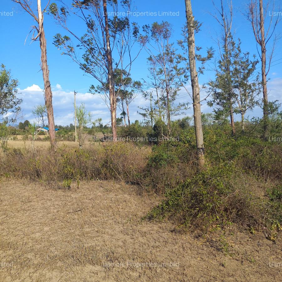 Land in Nyeri - 4
