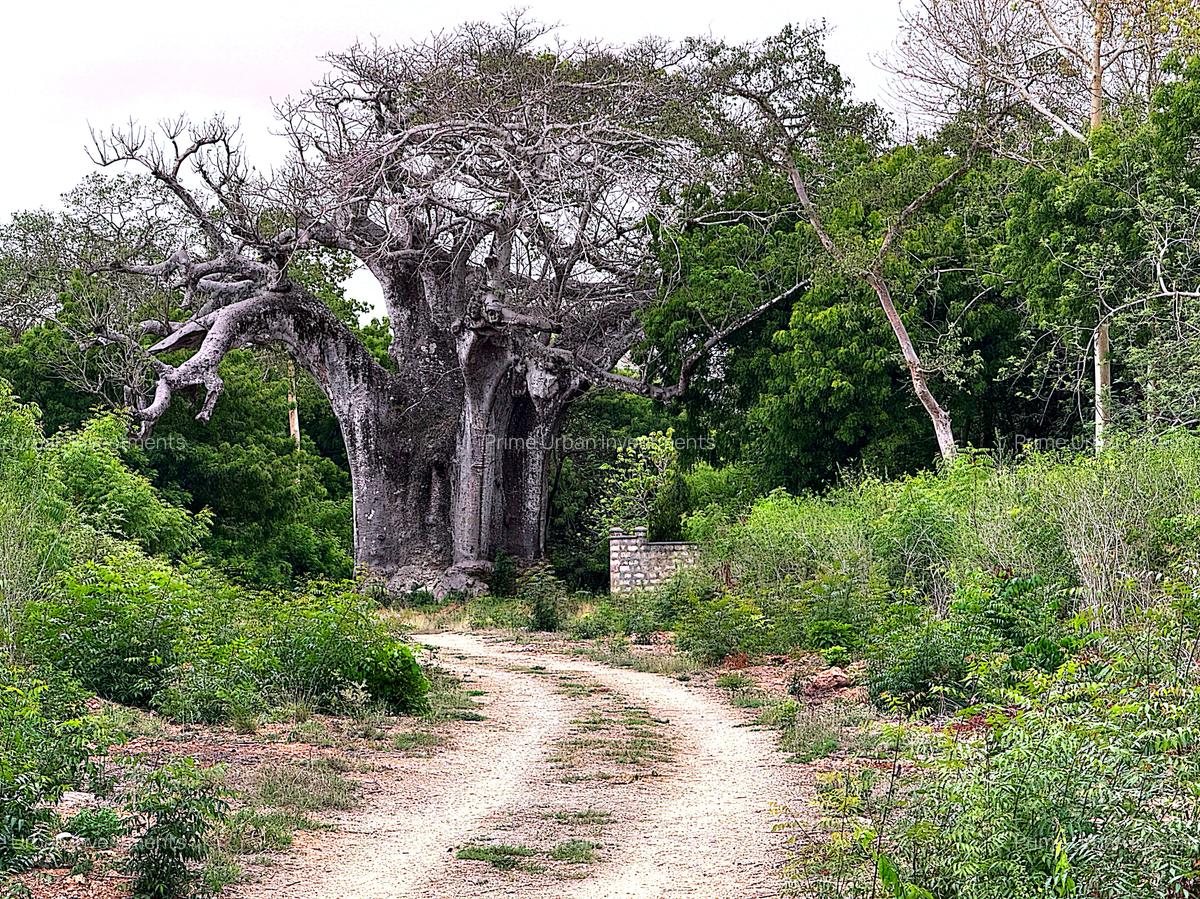 10 ac Land at Kuruwitu Vipingo - 14